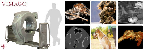 Veterinär-CT-Scanner / für Großtiere - Vimago™ - Epica Medical Innovations - für Kleintiere