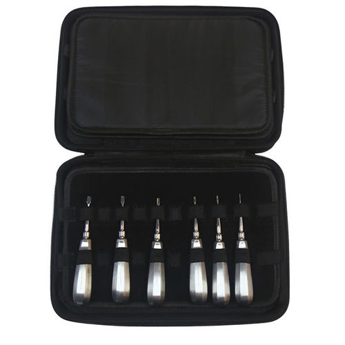 Tierärztliches Instrumentenset / Für Zahnchirurgie - DS1005-06 - RWD Life Science - für Hunde