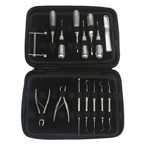 Tierärztliches Instrumentenset / Für Zahnchirurgie - DS1001-15 - RWD Life Science - für Hunde