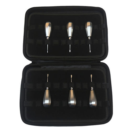Tierärztliches Instrumentenset / Für Zahnchirurgie - DS1006-06 - RWD Life Science - für Hunde