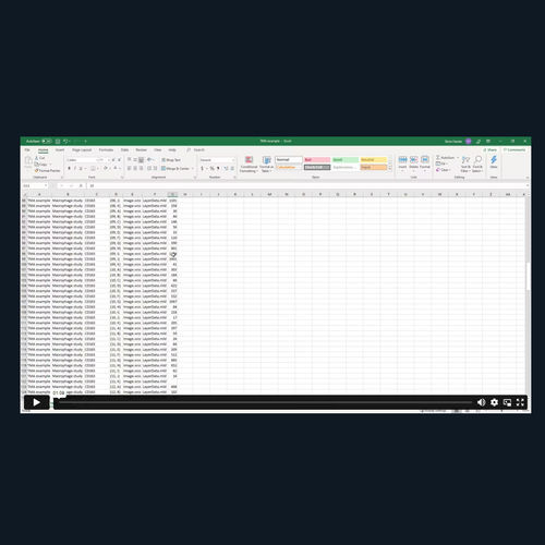Software-Modul / Analyse - Tissuearray™ - Visiopharm - Diagnose / für Histopathologie-Labor / für Forschungszwecke