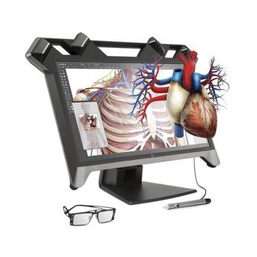 3D-Visualisierung-Software - TRUE3D - EchoPixel, Inc - medizinisch / Anatomie / OP