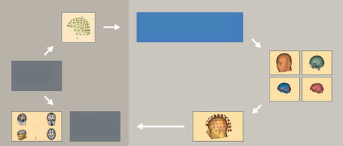 Anatomie-Software - MRI 3.0 - BESA GmbH - EEG / MRT / Analyse
