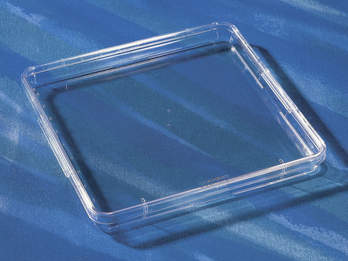 Quadratische Petrischale - 431272 - Corning BV - steril