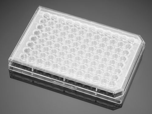 Mikroplatte für Biowissenschaften - 353227  - Corning BV - Gewebekultur / 96 Well
