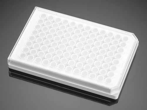 Mikroplatte für Biowissenschaften - 353296  - Corning BV - Gewebekultur / 96 Well