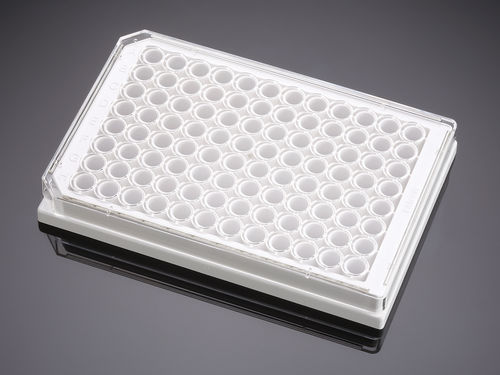 Mikroplatte für Biowissenschaften - 353377  - Corning BV - Gewebekultur / 96 Well