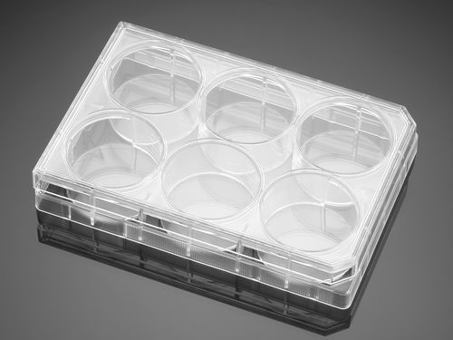 Mikroplatte für Biowissenschaften - 351146  - Corning BV - Zellkultur / 6 Mulden