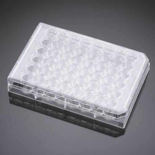 Mikroplatte für Biowissenschaften - 351178 - Corning BV - Zellkultur / 48 Well