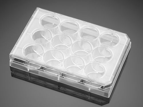 Mikroplatte für Biowissenschaften - 353225  - Corning BV - Gewebekultur / 12 Mulden / Plasma