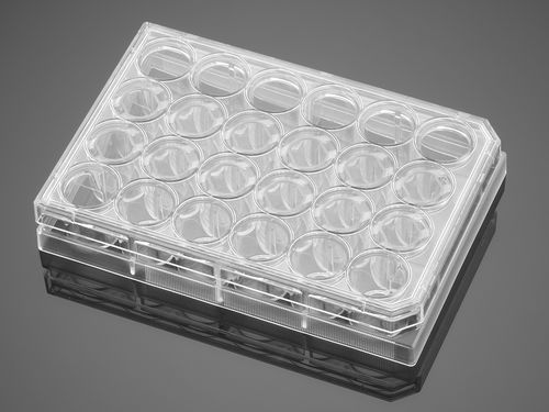 Mikroplatte für Biowissenschaften - BioCoat®  - Corning BV - 24 Well / für Zellen / Oberflächen