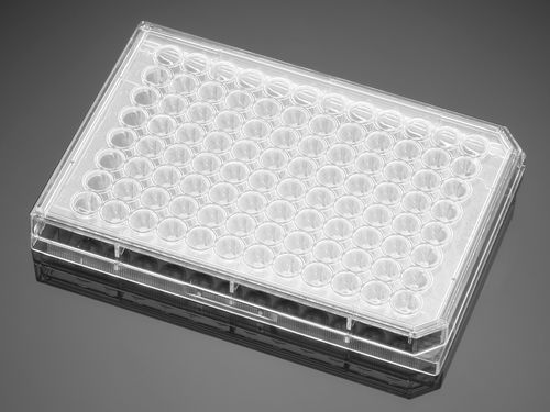 Fluoreszenz-Mikroplatte - 351177  - Corning BV - 96 Well / Oberflächen