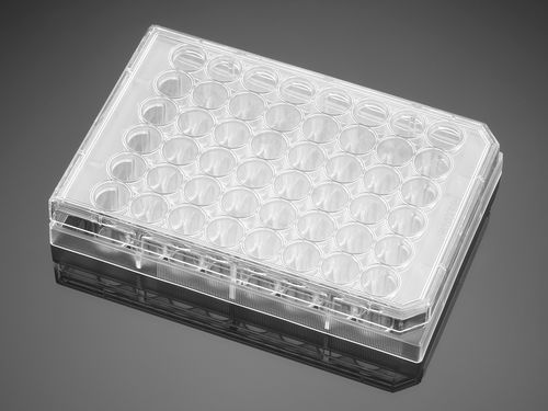 Labor-Mikroplatte - Falcon® - Corning BV - Gewebekultur / 48 Well / Plasma