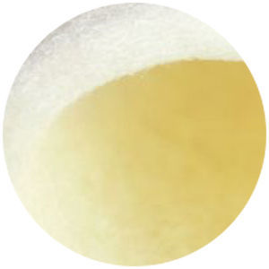 Hämostatisches Pad - TERACEL® - KATSAN Medical Devices