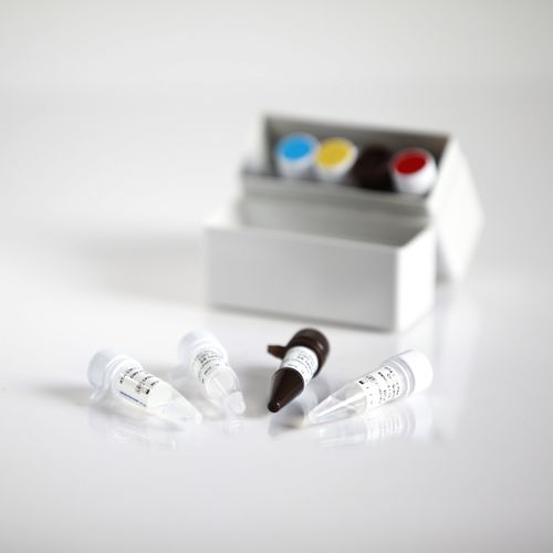 AIDS-Testkit - 09013025 - RTA Laboratories - HIV / Serum / Plasma