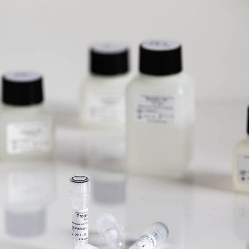 Farbstoff Reagenzkit - 09044 series - RTA Laboratories - für Forschungszwecke / Nukleinsäure / ADN-Reinigung