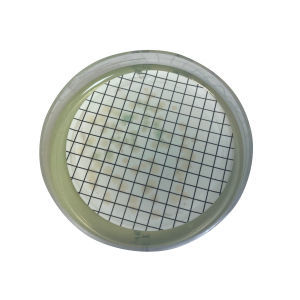 Agargel Reagenz - 06217 - RTA Laboratories - für Mikrobiologie / Pseudomonas aeruginosa