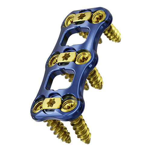 HWS-Arthrodeseplatte - Admiral™ - SeaSpine - mit Verriegelung / Metall / 2 Ebenen