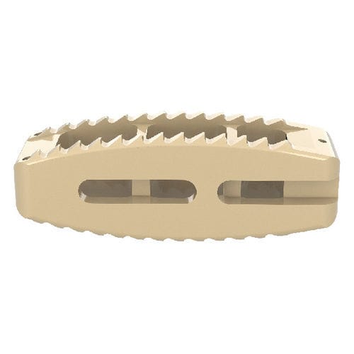 LWS-Zwischenwirbelimplantat - Halis® - Shanghai Sanyou Medical - dorsaler Zugang / aus PEEK