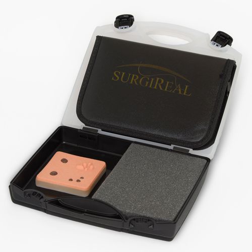 Trainingssimulator - 0150DK - SurgiReal Products - Näh / für dermatologische Behandlung / Kit