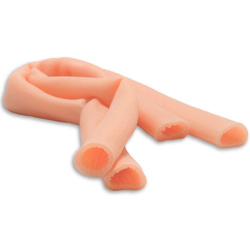 Anatomisches Modell / Dünndarm - 0500 - 40cm segment (set of 2) - SurgiReal Products - Ausbildung
