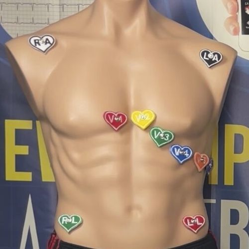 Elektrode / neuromuskuläre Stimulation - Cyndi - DART Sim ECG Simulator