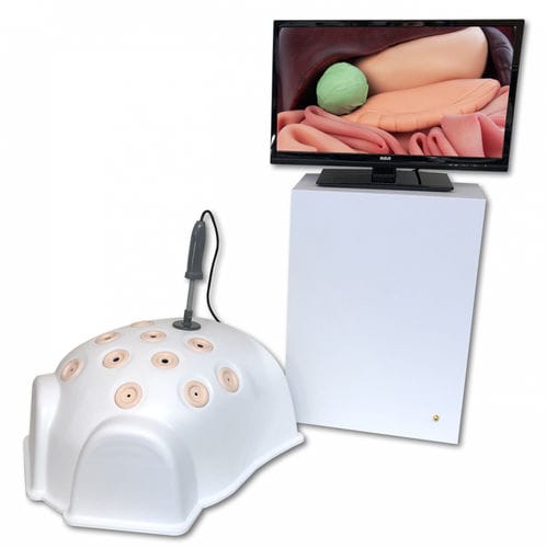 Simulator für minimalinvasive Chirurgie - T12-HD - 3-Dmed - für Laparoskopie-Training / Monitor / Arbeitsstation