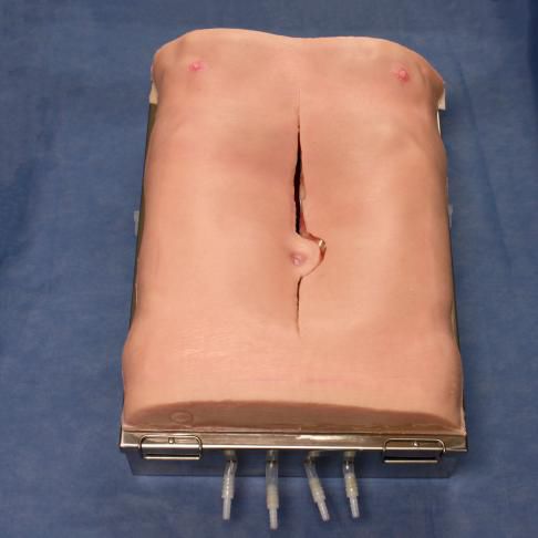 Simulator / Aneurysmus der Aorta abdominalis - 3-Dmed - Ausbildung / Näh / für Allgemeinpflege