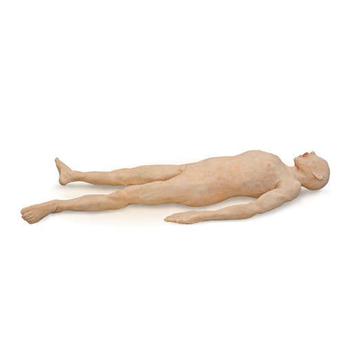 Anatomisches Modell / Körper - 101300 - SynDaver Labs - Body / Haut / chirurgisch