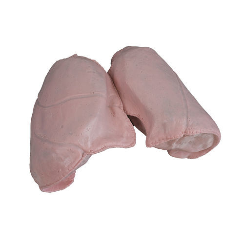 Anatomisches Modell / Lungen - 1301 series - SynDaver Labs - chirurgisch / für Ablation / CT-Scanner