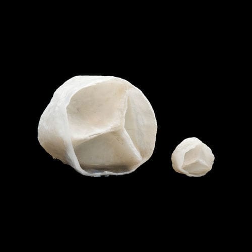 Anatomisches Modell / Aortenklappen - 130630 - SynDaver Labs - für Punktionen / Ausbildung / für Ablation