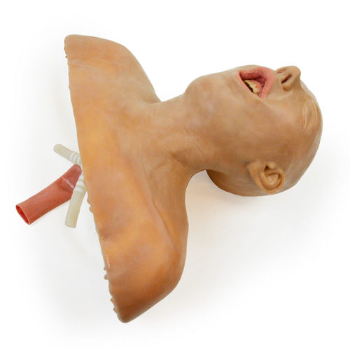 Trainingssimulator - 160410 - SynDaver Labs - für die Ausbildung / Atemwegsmanagement / für Intubation