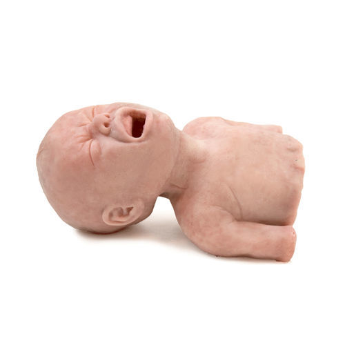 Simulator für die Ausbildung - 160420 - SynDaver Labs - Atemwegsmanagement / für Intubation / für Allgemeinpflege