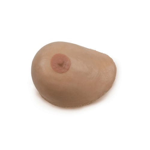 Anatomisches Modell / Brust - 160650 - SynDaver Labs - Ausbildung / für Palpationen