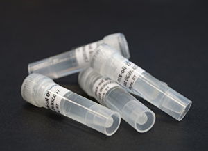 Reagenz / als Lösung - 10000163 - microfluidic ChipShop GmbH - für Molekularbiologie