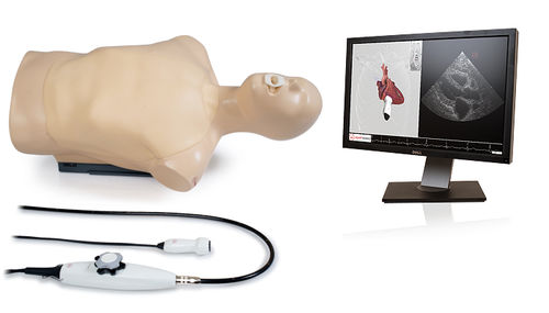 Simulator für Echokardiographie - Dual - Inventive Medical Limited - Oberkörper / computergestützt