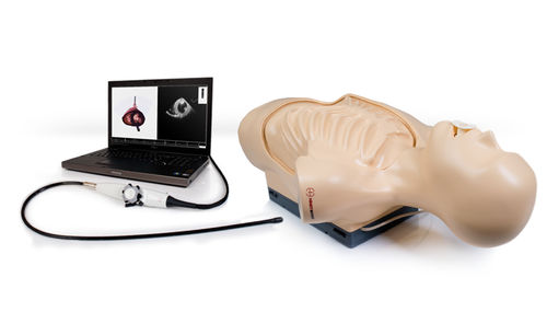 Simulator für Echokardiographie - TEE  - Inventive Medical Limited - Oberkörper / computergestützt