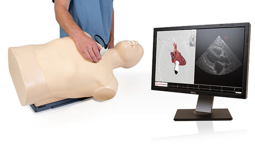 Simulator für Echokardiographie - TTE - Inventive Medical Limited - Oberkörper / computergestützt