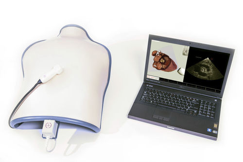 Simulator für Echokardiographie - TTE mobile - Inventive Medical Limited - Oberkörper / computergestützt
