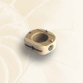 HWS-Zwischenwirbelimplantat - BCC - Biotech Medical - ventraler Zugang / aus PEEK