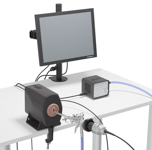 Simulator für Hysteroskopie - Bozzini™ - Inovus Medical - Ausbildung / chirurgisch / Vagina