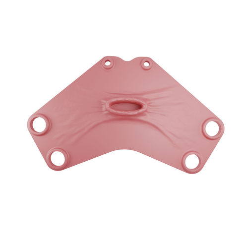 Vaginales anatomisches Modell - 00000376 - Inovus Medical - Chirurgie / Ausbildung / für Hysterektomie