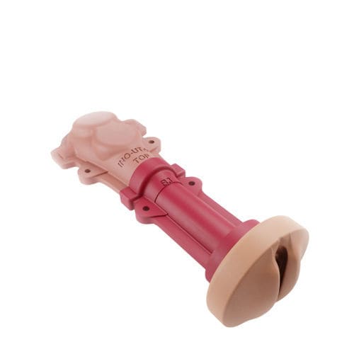 Vaginales anatomisches Modell - 00001359 - Inovus Medical - HWS / Gebärmutter / Chirurgie