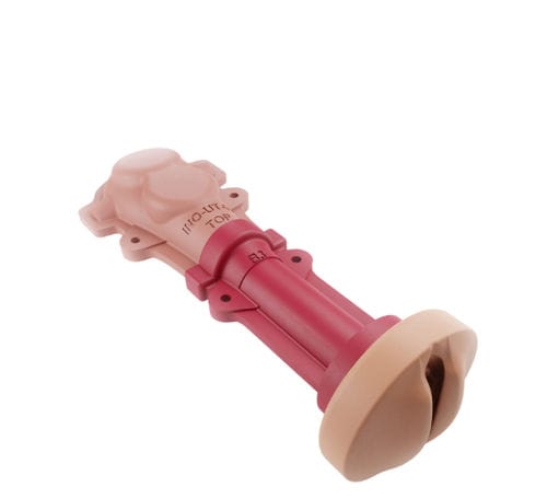 Anatomisches Modell / HWS - 00001318 - Inovus Medical - Gebärmutter / vaginal / chirurgisch