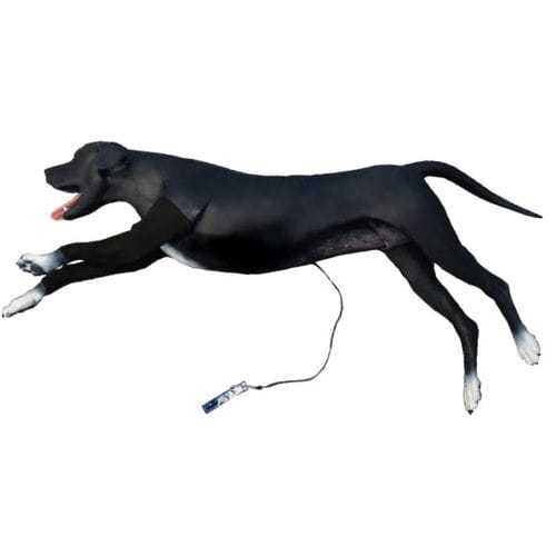 Simulator für Basispflege - Veterinary Simulator Industries - Verband / für Katheterisierung / für Venenpunktion
