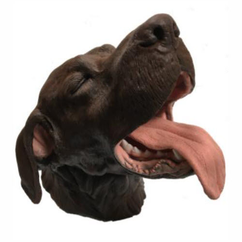 Trainingssimulator - Veterinary Simulator Industries - für Intubation / Extraktion / für Zahnbehandlung