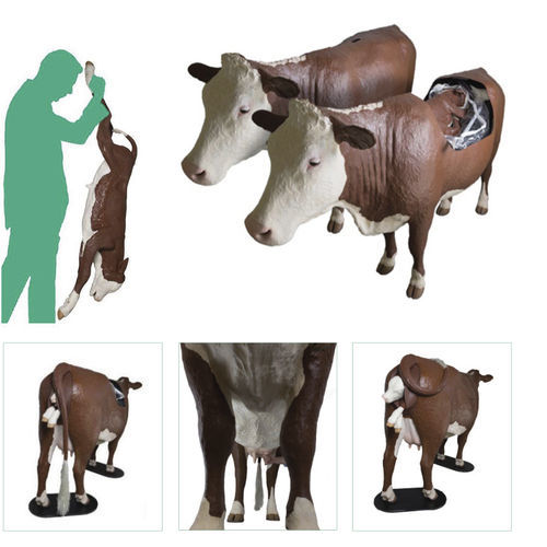Simulator für Dystokie - Veterinary Simulator Industries - für Veterinärbehandlung / Rinder / Ganzkörper