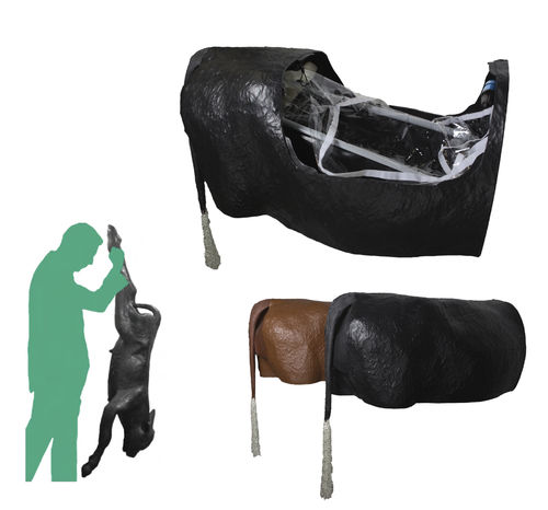Simulator für Dystokie - Veterinary Simulator Industries - für Veterinärmedizin / Rinder / Becken