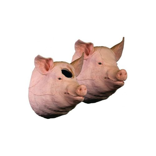 Trainingssimulator - Veterinary Simulator Industries - für Veterinärmedizin / Schwein / Kopf