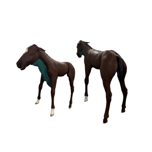 Trainingspuppe für Veterinärmedizin - Veterinary Simulator Industries - für Palpationen / für Intubation / für Dystokie